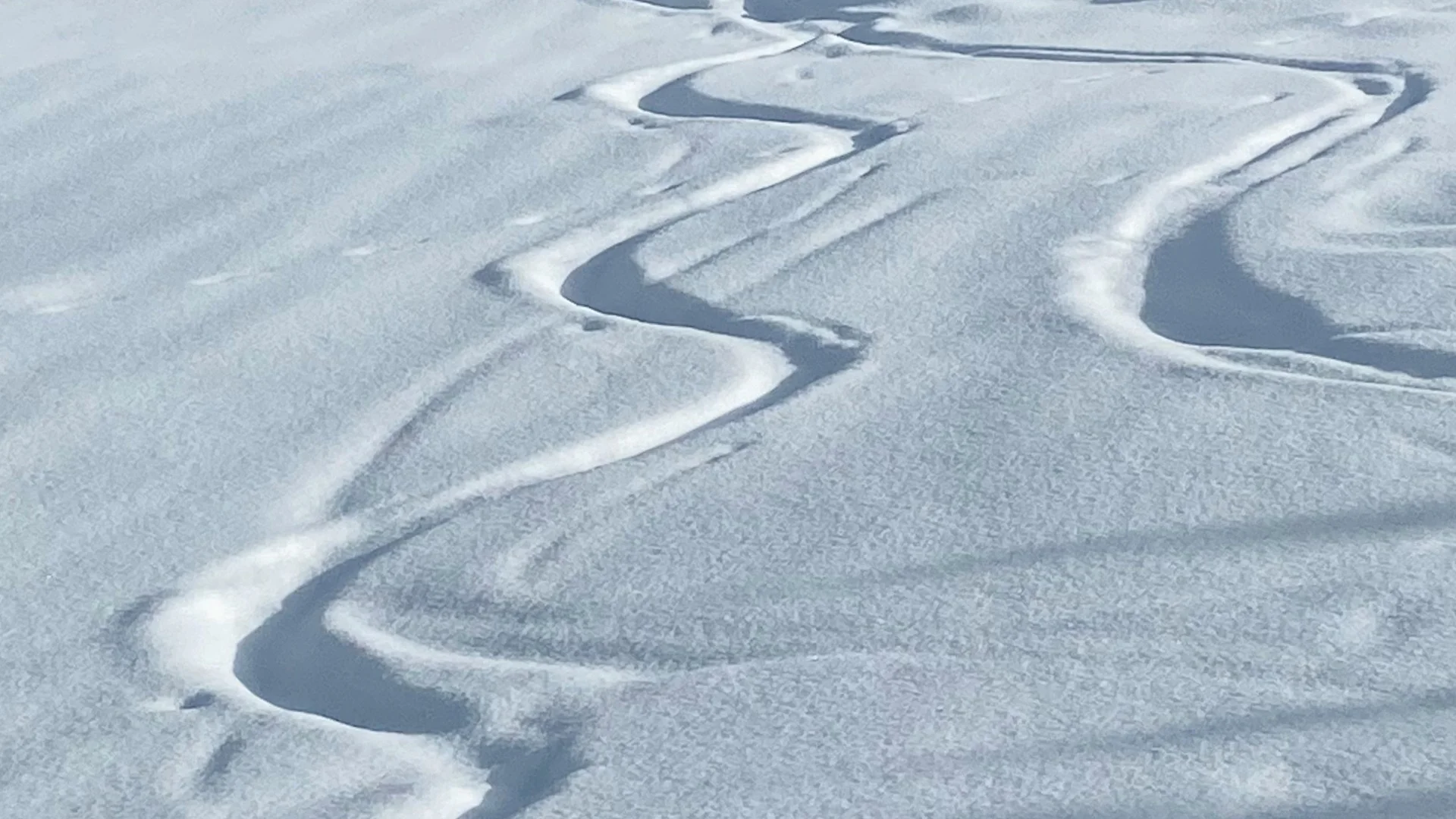 Schneebedeckter Hang mit frischen Skispuren im Pulverschnee