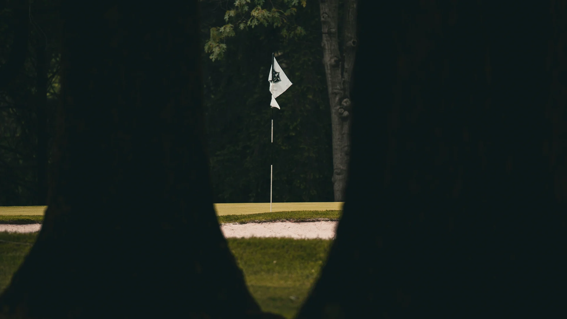 Golfplatzfahne zwischen zwei großen Baumstämmen im Schatten