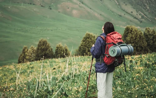 Wanderin mit Rucksack und Wanderstock blickt auf grüne Hügel und Bäume