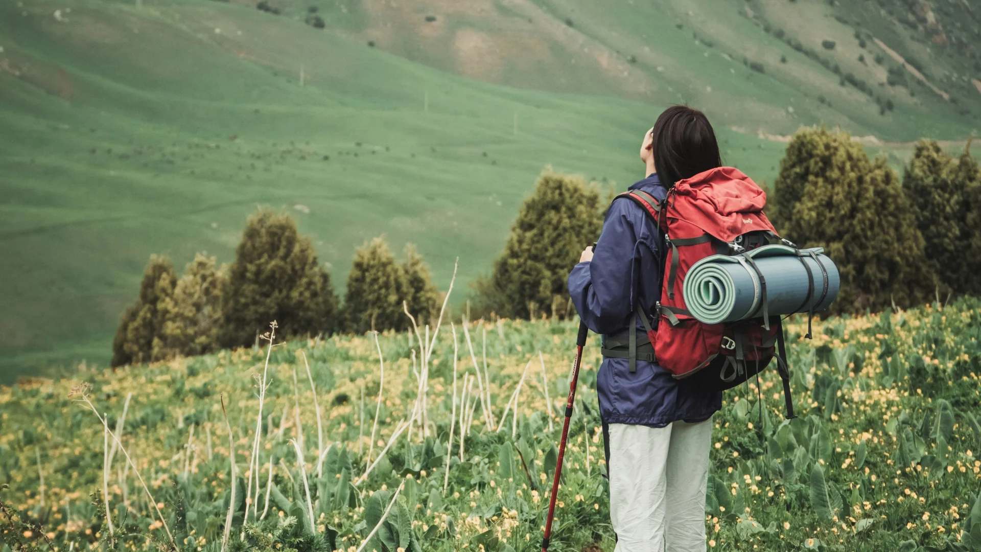 Von unserem Hotel im Pustertal nach Bruneck wandern Wanderin mit Rucksack und Wanderstock blickt auf grüne Hügel und Bäume