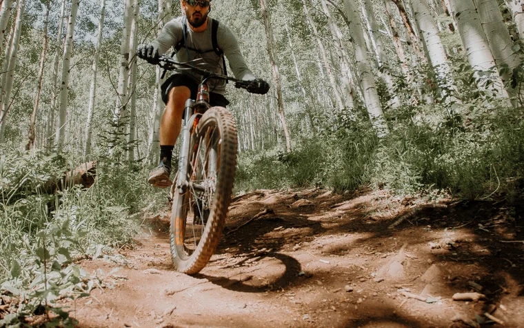 Mann fährt Mountainbike auf Waldweg mit Birkenbäumen