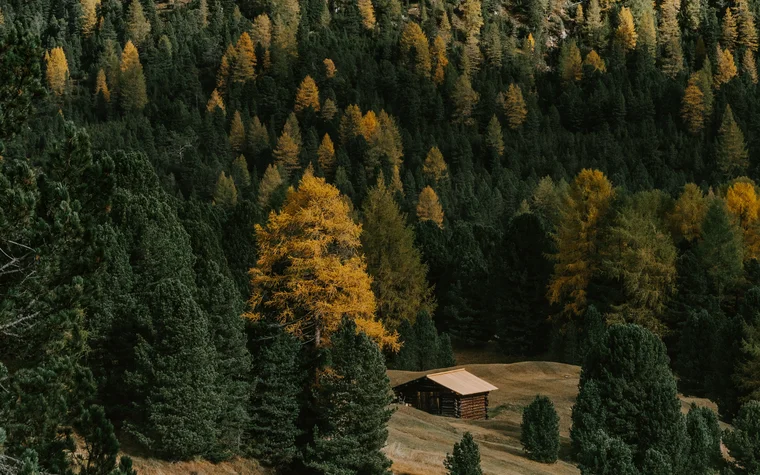 Herbstlicher Wald mit bunten Bäumen und einer kleinen Holzhütte im Tal