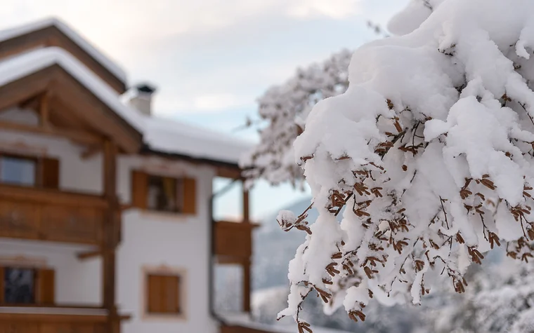 Absolutely stunning impressions Snow-covered branches in front of a wooden house in winter
