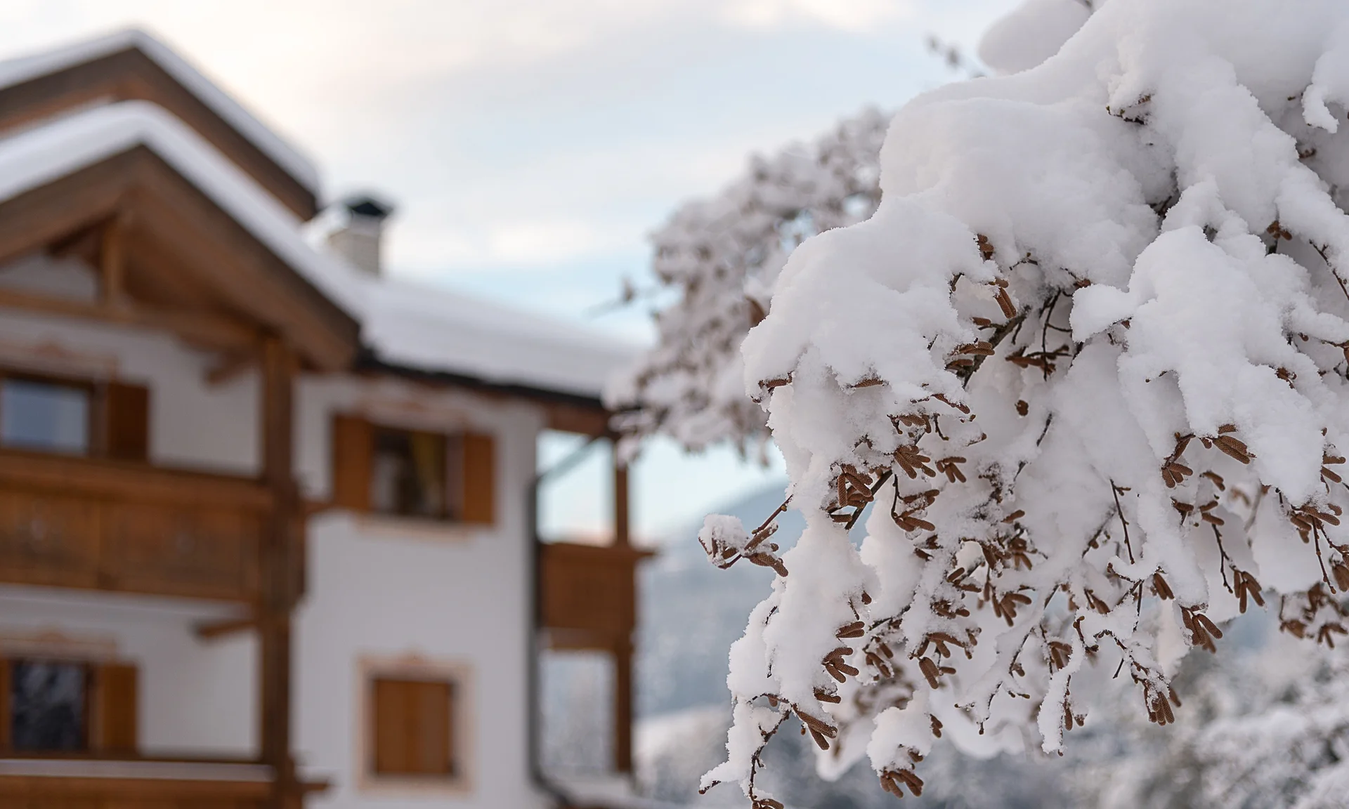 Il segreto di rallentare in questo hotel vicino a Brunico Rami coperti di neve davanti a una casa in legno in inverno