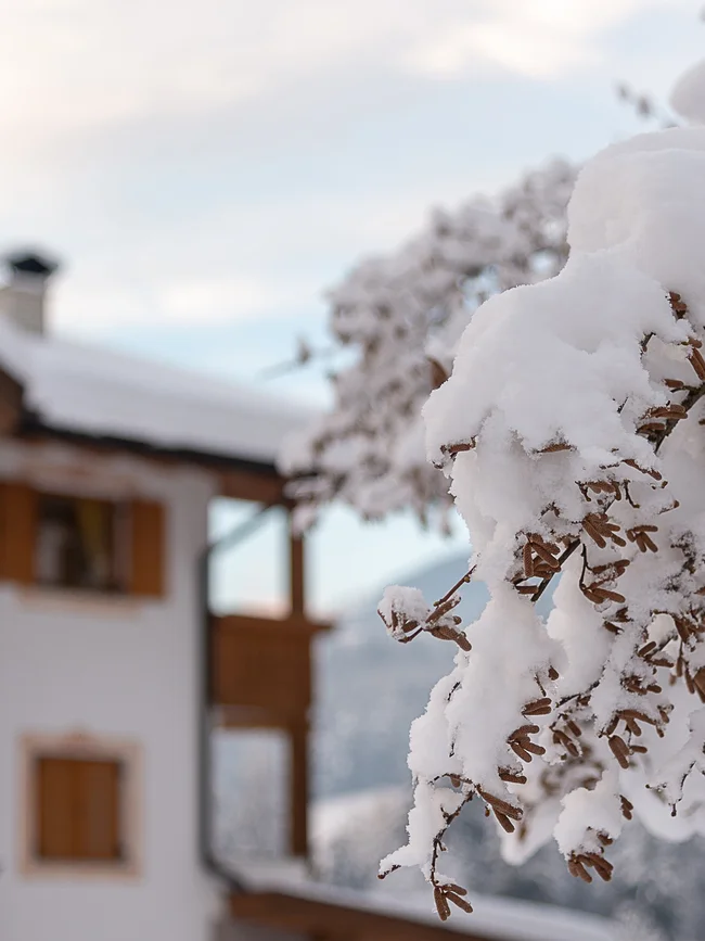Entschleunigen und genießen in diesem Hotel nahe Bruneck Schneebedeckte Äste vor einem Holzhaus im Winter