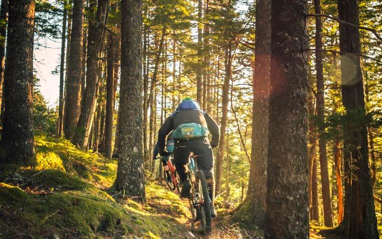 Mountainbiker fährt auf Waldweg bei Sonnenlicht